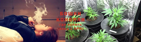 ГАЛЛЮЦИНОГЕННЫЕ ГРИБЫ Вяземский