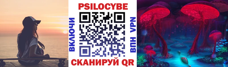 Галлюциногенные грибы Psilocybine cubensis  маркетплейс наркотические препараты  Подпорожье  купить  сайты 